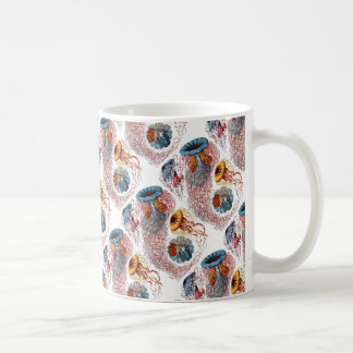 Ernst Haeckels Disco Medusae Tasse
