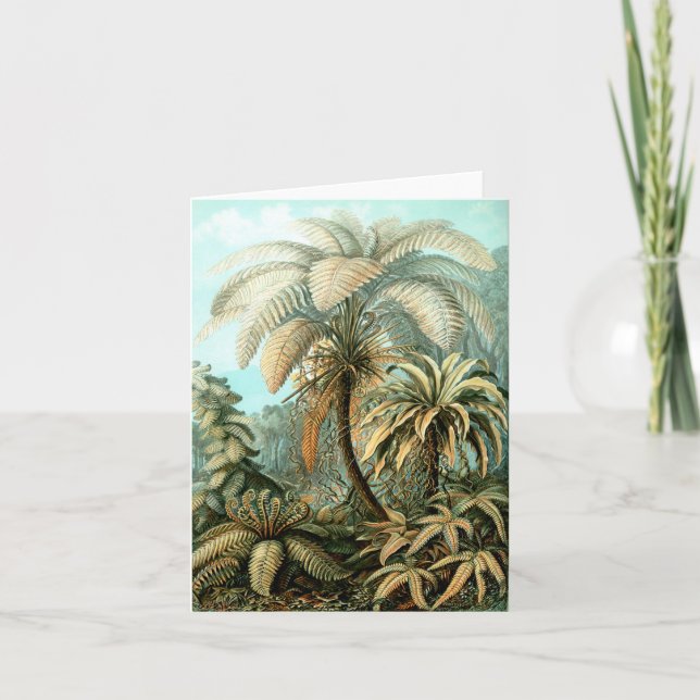 Ernst Haeckel's Filicinae (Tree Ferns) Note Card (Vorderseite)