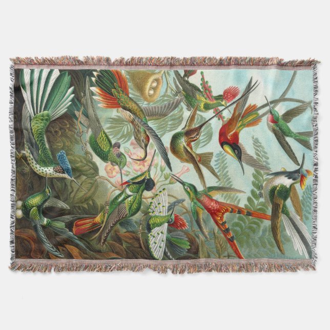 Ernst Haeckel's Hummingbirds Decke (Vorderseite)