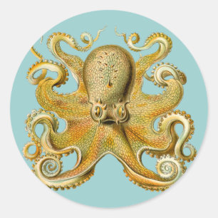 Ernst Haeckel's Octopus Runder Aufkleber