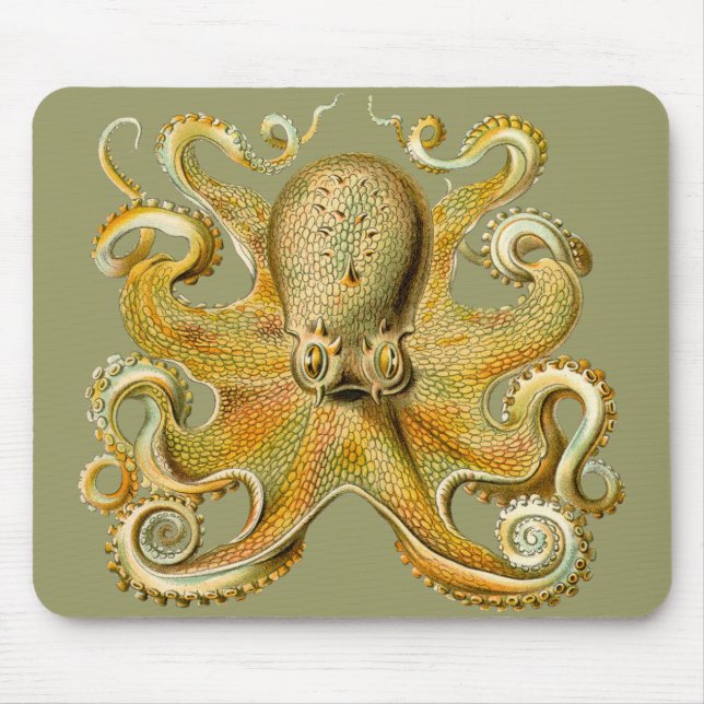 Ernst Haeckels Oktopus Mousepad (Vorne)
