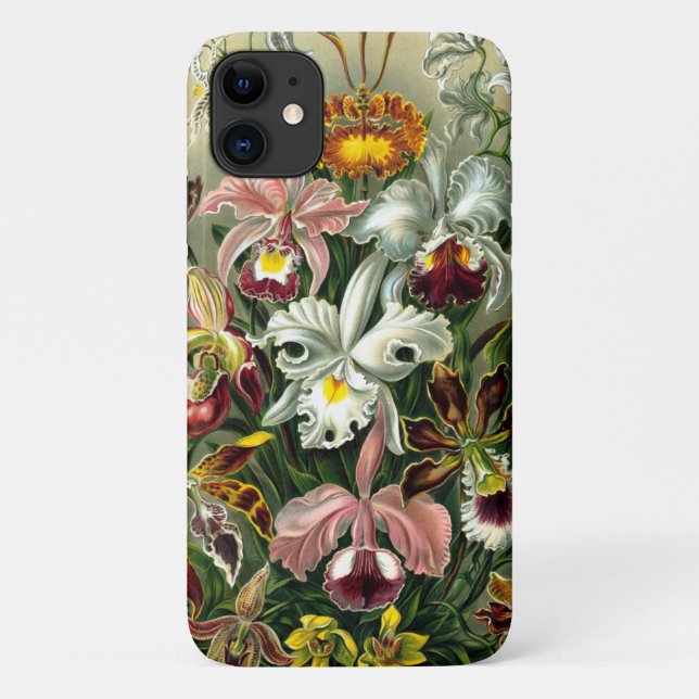 Ernst Haeckel's Orchidaceae Case-Mate iPhone Case (Rückseite)