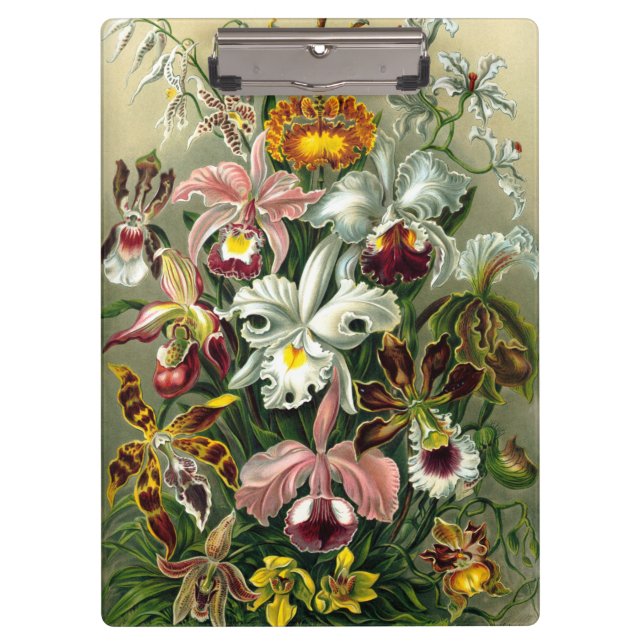 Ernst Haeckel's Orchidaceae Clipboard Klemmbrett (Vorderseite)