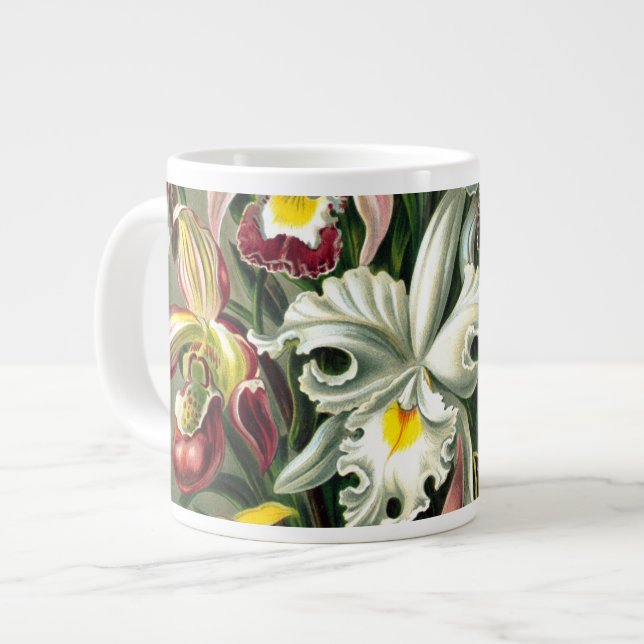 Ernst Haeckel's Orchidaceae Large Coffee Tasse (Vorderseite Links)