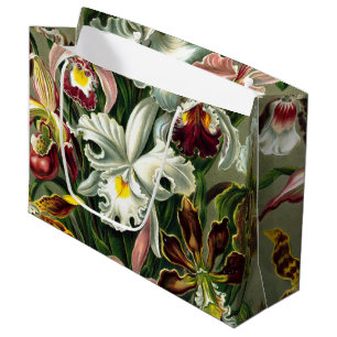 Ernst Haeckel's Orchidaceae Large Gift Bag Große Geschenktüte