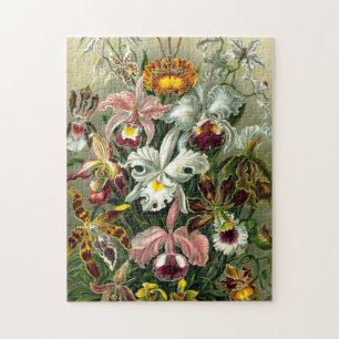 Ernst Haeckels Orchideen Orchidaceae Puzzle