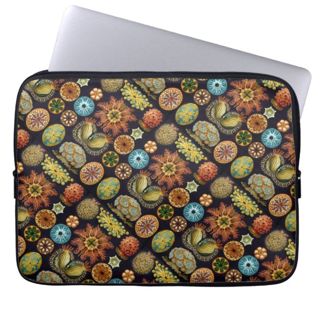 Ernst Haeckels ozeanische Wunder Laptopschutzhülle (Vorderseite)
