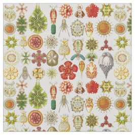 Ernst Haeckels ozeanische Wunder Stoff