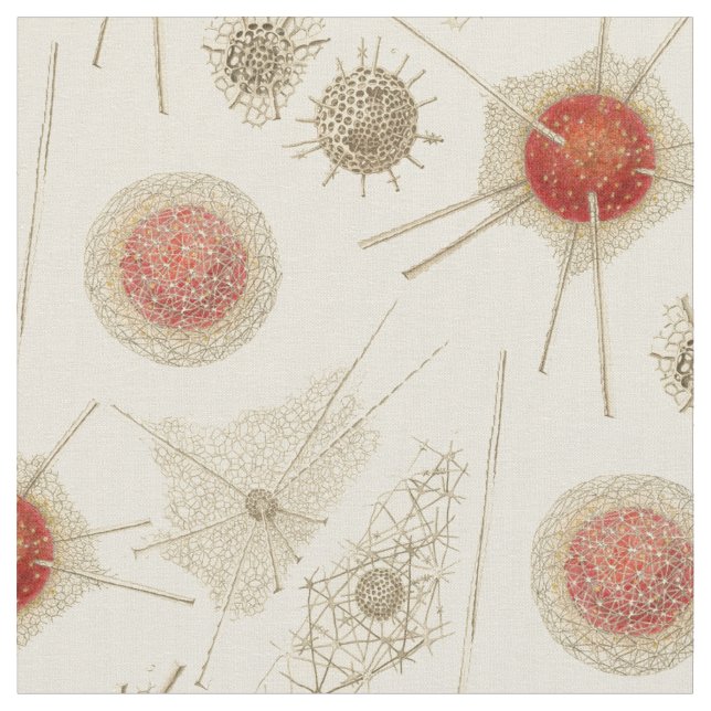 Ernst Haeckels Radiolarian Stoff (Nahaufnahme)