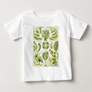 Ernst Haeckels Siphoneae Meerespflanze und Algen Baby T-shirt