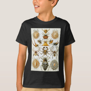 Ernst Haeckels Tier-Spinnen T-Shirt