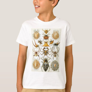 Ernst Haeckels Tier-Spinnen T-Shirt