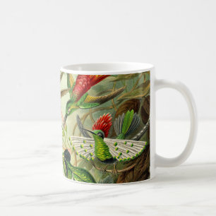 Ernst Haeckeltrochilidae-Kolibri Tasse