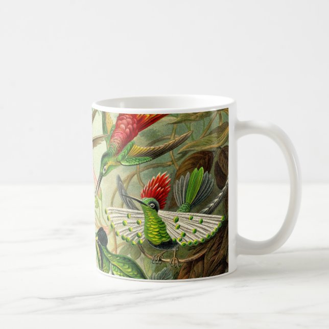 Ernst Haeckeltrochilidae-Kolibri Tasse (Rechts)