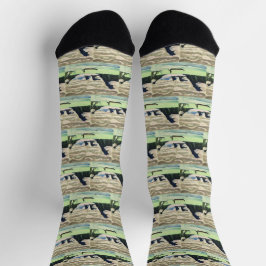 Ernst Ludwig Kirch Bergsee-Zauber im Val Piora Socken