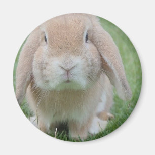 ernstes Foto Magnet