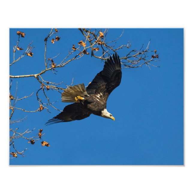 Ernstes Geschäft Fotodruck (Vorne)