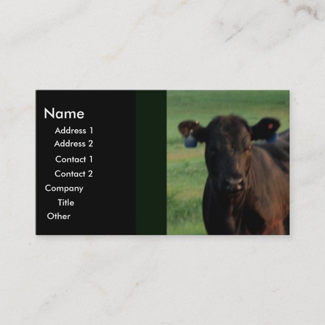 Ernstes Geschäft Visitenkarte (Vorderseite)