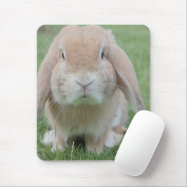 ernstes sonniges Foto Mousepad