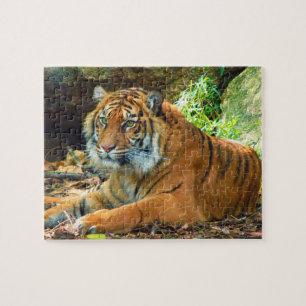 Ernstes Tiger-Puzzlespiel Puzzle