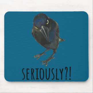 Ernsthaft Mpy Schwarz Grackel Schwarzer Vogel Mousepad