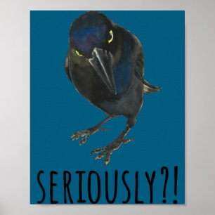 Ernsthaft Mpy Schwarz Grackel Schwarzer Vogel Poster