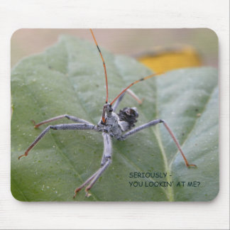 Ernsthaft Sie mich betrachtend? Mousepad