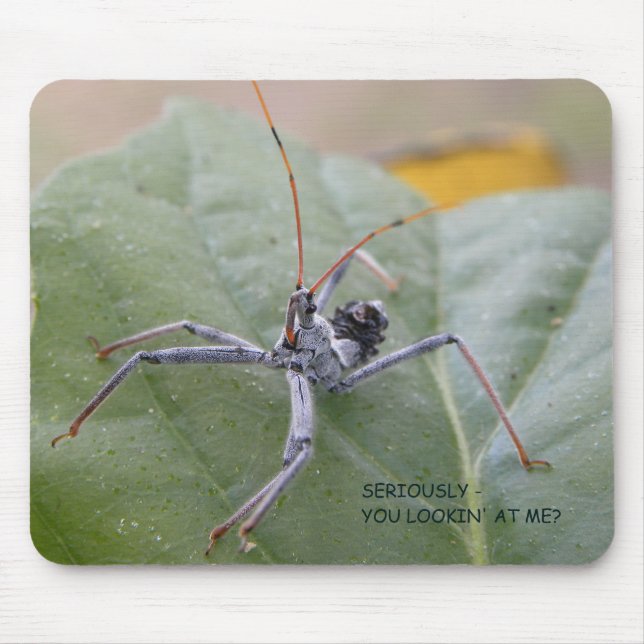 Ernsthaft Sie mich betrachtend? Mousepad (Vorne)