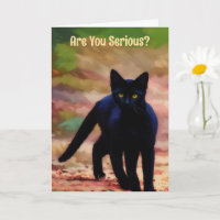 Ernsthafte Suche Black Cat Fun Pun Geburtstagskart