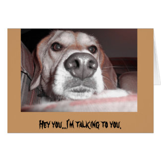 Ernsthaftes Jungtier