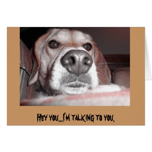 Ernsthaftes Jungtier (Vorderseite (Horizontal))