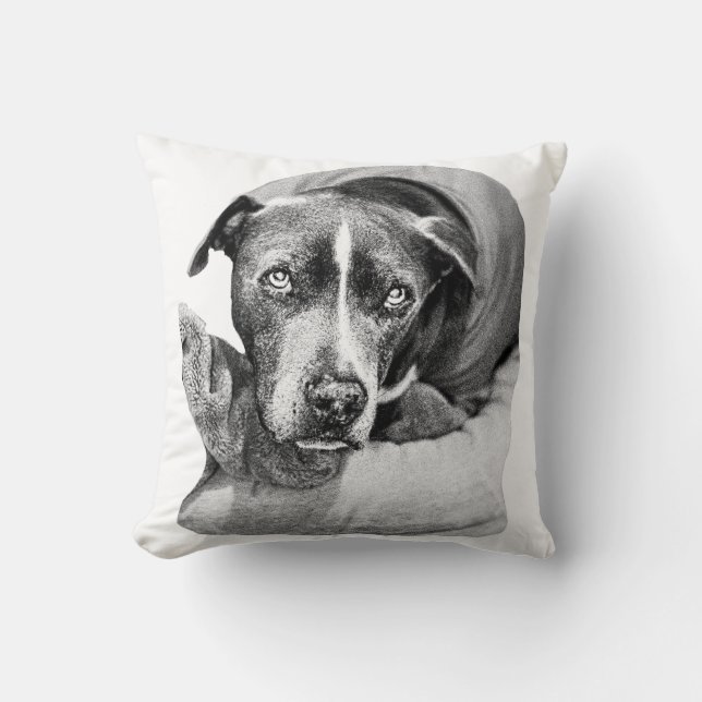 Ernte Abend Companion Kissen (Vorderseite)