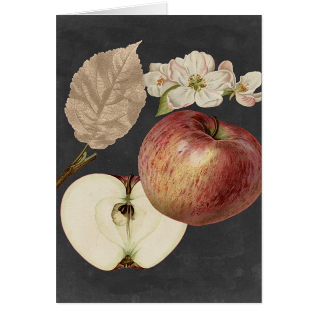 Ernte am Mitternacht II (Vorne)