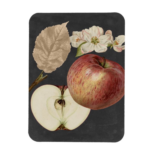 Ernte am Mitternacht II Magnet (Vertikal)