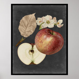 Ernte am Mitternacht II Poster