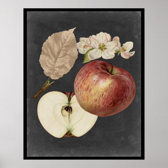 Ernte am Mitternacht II Poster (Vorne)