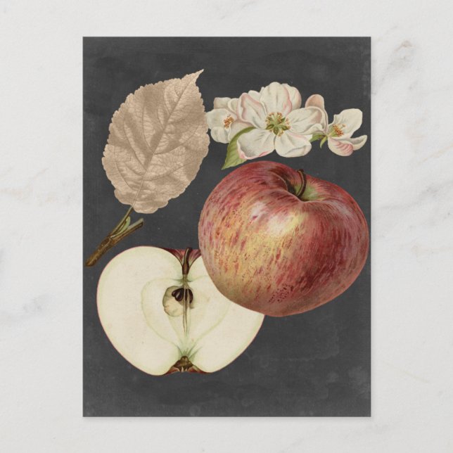 Ernte am Mitternacht II Postkarte (Vorderseite)