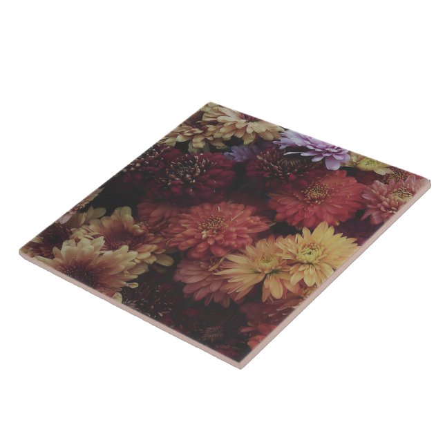 Ernte-Chrysantheme Nocturne Dekorativ Fliese (Seite)