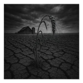 Ernte - Fotodruck