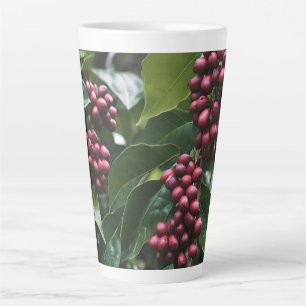 **"Ernte im Blut: Kaffeebohnen auf dem Baum"** Milchtasse