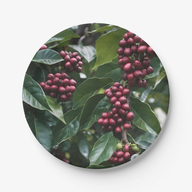**"Ernte im Blut: Kaffeebohnen auf dem Baum"** Pappteller (Vorderseite)
