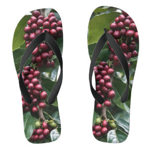 **"Ernte in Blüte: Kaffeebohnen am Baum"** Flip Flops
