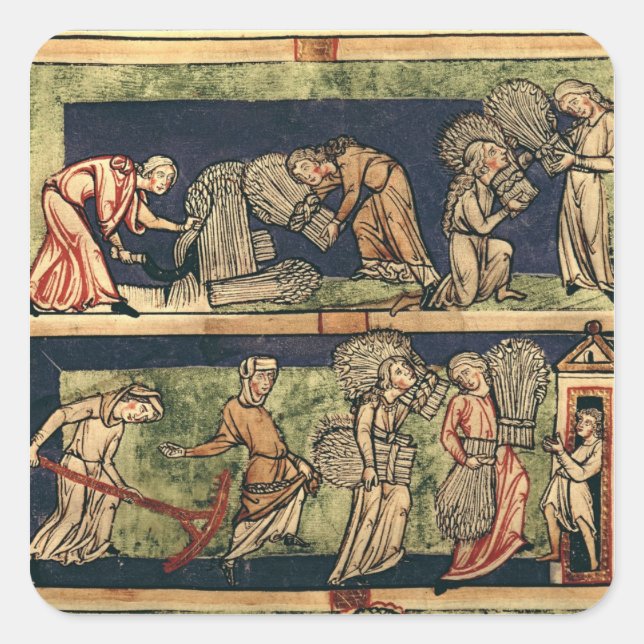 Ernte, Rheinschule Quadratischer Aufkleber (Vorderseite)