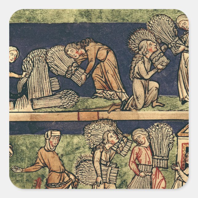 Ernte, Rheinschule Quadratischer Aufkleber (Vorderseite)