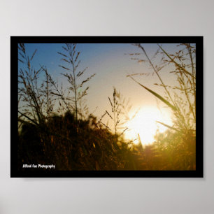 Ernte Sonnenaufgang Poster