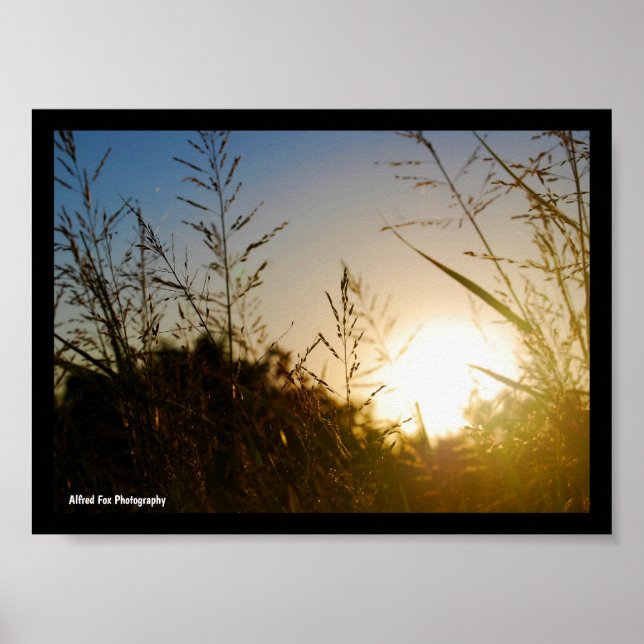 Ernte Sonnenaufgang Poster (Vorne)