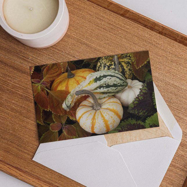 Ernte Squash Erntedank Dinner Einladung (In Situ)