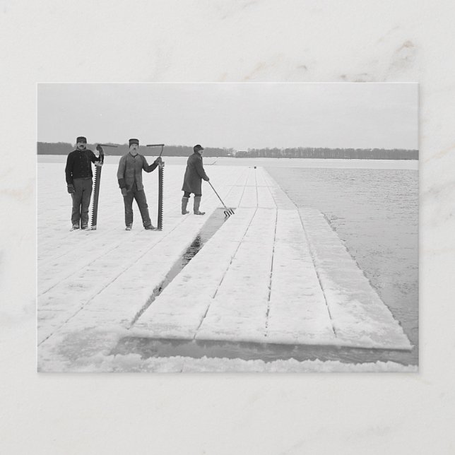 Ernte von Eisblöcken, 1906 Postkarte (Vorderseite)