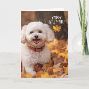 Erntedank Bichon Frise Hund mit Herbstlaub Feiertagskarte