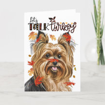 Erntedank Biewer Terrier Dog Lasse über Türkei red